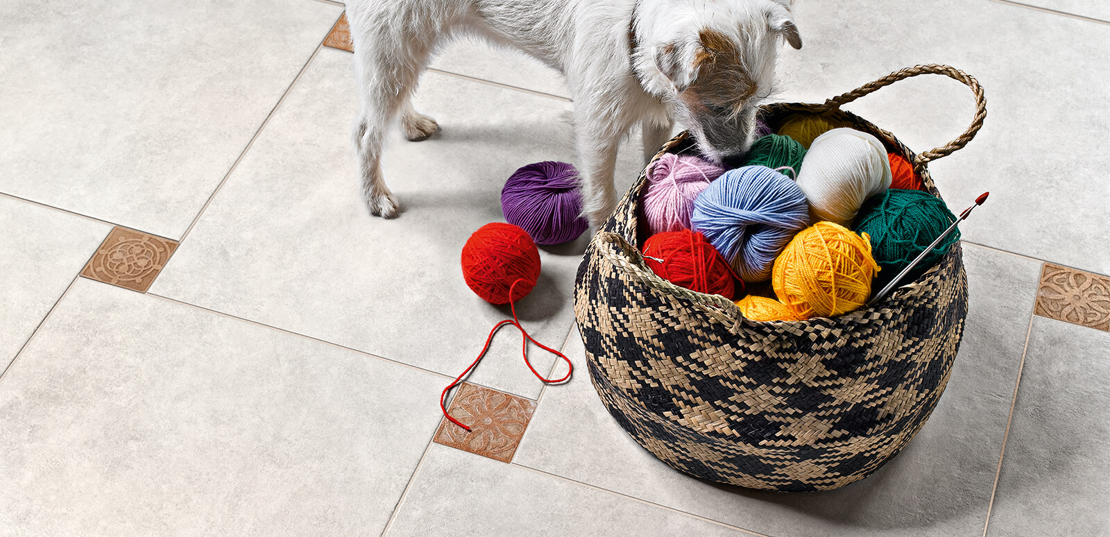 Wolle für Siegen und Umgebung